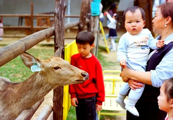 Kids meeting a deer at a petting zoo